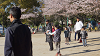 hana26 (256)_thumb.png